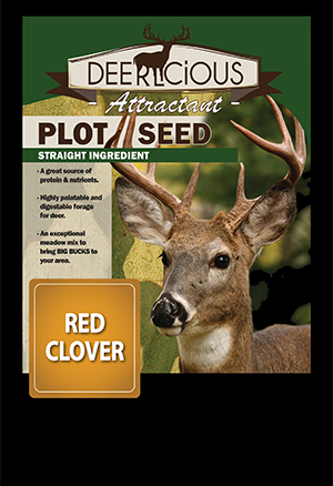 Red Clover Plot Seed