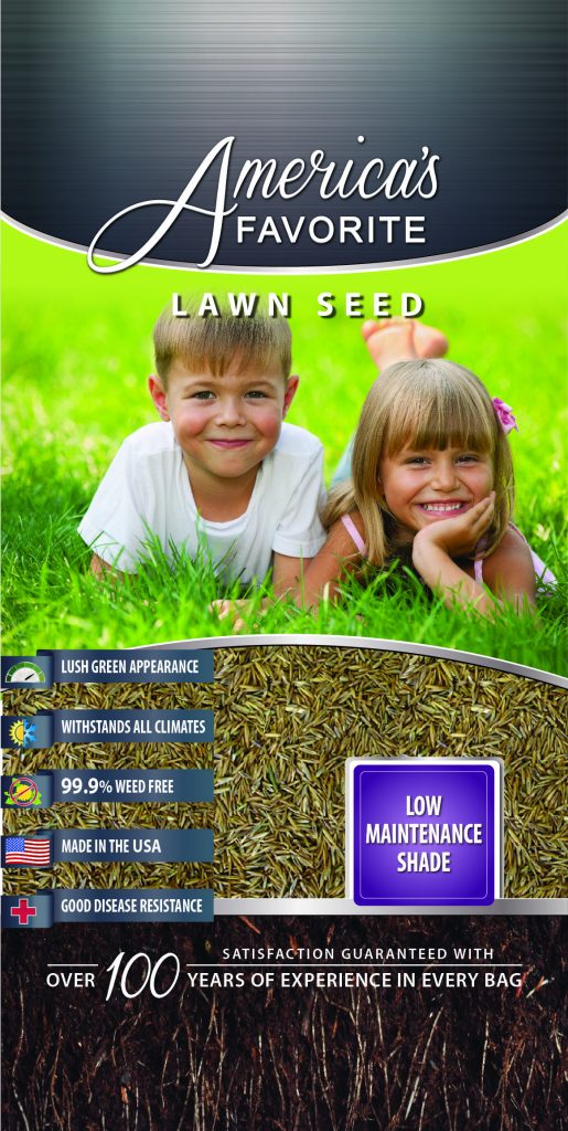 Low Maintenance Lawn Seed