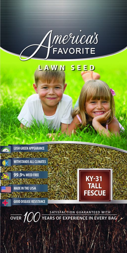 KY-31 Tall Fescue Lawn Seed